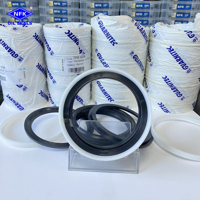 Conjunto de cinco peças de TPM com especificações completas Itália DPM Tailgate Cylinder Oil Seal DBM Combination Seals.