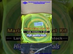 Guindaste Marítimo JC0000-5325R0-6101 160/230 UPP Cilindro Hidráulico ASS'Y Φ250 Kit de vedação do parafuso direito.